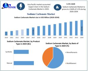 Sodium Carbonate Market Size, Share, Demand, and Industry Growth Analysis 1 Sodium Carbonate Market Size, Share, Demand, and Industry Growth Analysis