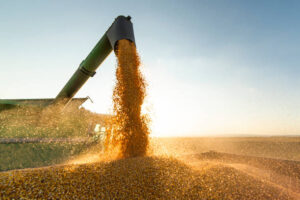 How Advanced Harvesting Equipment Is Transforming Agriculture Across South America
