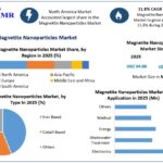 Magnetite Nanoparticles Market Competitive Analysis and Future Growth