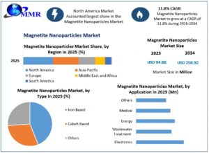 Magnetite Nanoparticles Market Competitive Analysis and Future Growth