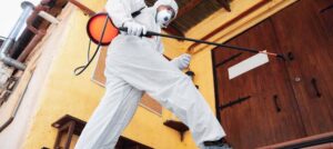 Best cockroach pest control melbourne