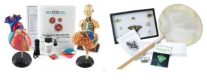 Life Science Curriculum for Elementary Homeschool Students: What to Teach 1 Life Science Curriculum for Elementary Homeschool Students: What to Teach