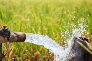 How India’s Water Needs Are Changing the Role of Pump Technology