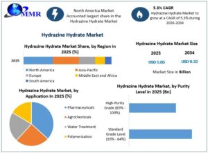 Hydrazine Hydrate Market Growth Drivers, Demand, and Future Trends