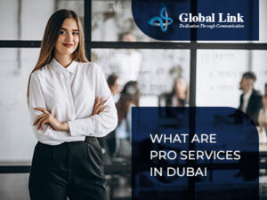 business setup in dubai free zone 1 business setup in dubai free zone