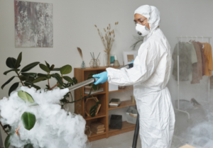 Common Signs of a Pest Infestation You Should Never Ignore