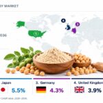 Chickpea Protein Market to Reach USD 189.1 Million by 2036.