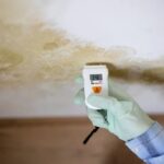 A Practical Guide on Mold and Radon Inspections in Florence, KY