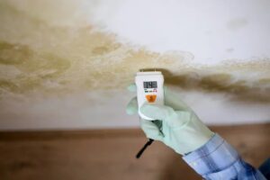 A Practical Guide on Mold and Radon Inspections in Florence, KY