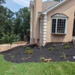 How Can the Best Planting Services in Gainesville, GA Help Create a Thriving Landscape? 3 How Can the Best Planting Services in Gainesville, GA Help Create a Thriving Landscape?