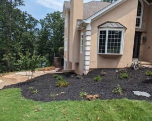 How Can the Best Planting Services in Gainesville, GA Help Create a Thriving Landscape? 1 How Can the Best Planting Services in Gainesville, GA Help Create a Thriving Landscape?