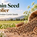 Cumin Seed Supplier for Quality Indian Cumin Seeds