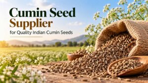 Cumin Seed Supplier for Quality Indian Cumin Seeds 1 Cumin Seed Supplier for Quality Indian Cumin Seeds