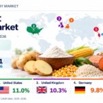 Resistant Starch Market to Reach USD 15.1 Billion by 2036, Japan – CAGR 11.4%, USA – CAGR 11.0%
