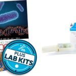 How to Find Biology in Everyday Life: Homeschool Biology Curriculum Ideas