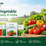 Hybrid Vegetable Seeds: A Smart Choice for Modern Farming