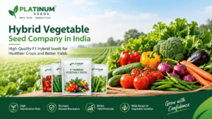Hybrid Vegetable Seeds: A Smart Choice for Modern Farming 1 Hybrid Vegetable Seeds: A Smart Choice for Modern Farming