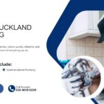 South Auckland Plumbing: What to Know Before you Call a Plumber