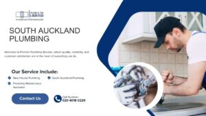 South Auckland Plumbing: What to Know Before you Call a Plumber