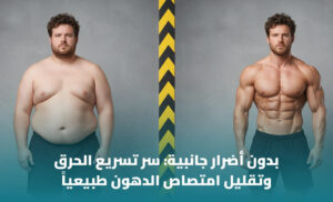 أفضل مكمل غذائي آمن لإنقاص الوزن: الأنواع والاحتياطات المهمة 1 أفضل مكمل غذائي آمن لإنقاص الوزن: الأنواع والاحتياطات المهمة