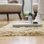 Living With Pets: How to Manage Hair, Odours and Allergens at Home