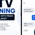 What Does WTV Stand For? Meaning and Texting Examples