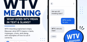 What Does WTV Stand For? Meaning and Texting Examples