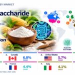 Xylooligosaccharide Market to Reach USD 79.6 Million by 2036.