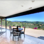 Frameless Folding Doors 1