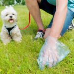 Can Rich Dog Dog Poop Cleanup Service Keep Your Yard Clean and Fresh? 3 Can Rich Dog Dog Poop Cleanup Service Keep Your Yard Clean and Fresh?