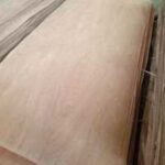 gurjan face Importers