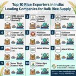 Top 10 Rice Exporters in India: Leading Companies for Bulk Rice Supply 3 Top 10 Rice Exporters in India: Leading Companies for Bulk Rice Supply