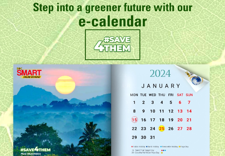 Introducing the Eco-Friendly e-Calendar