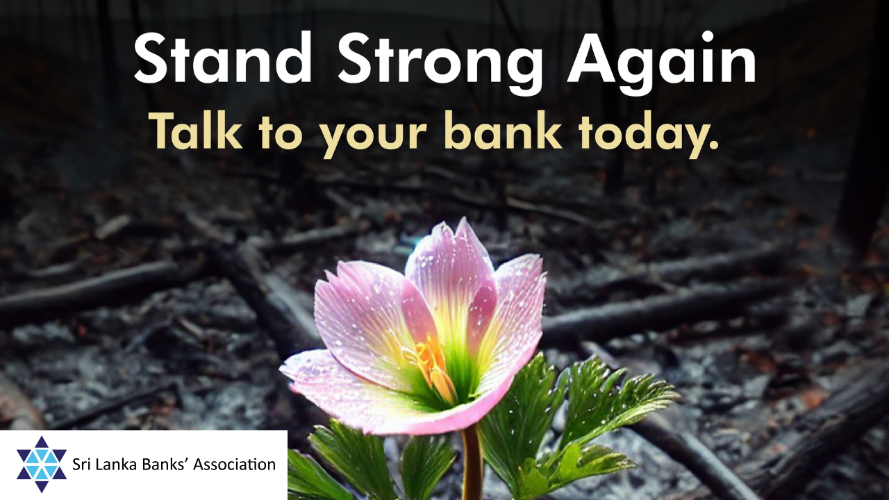 BOC - Re Awakening message to our SMEs!