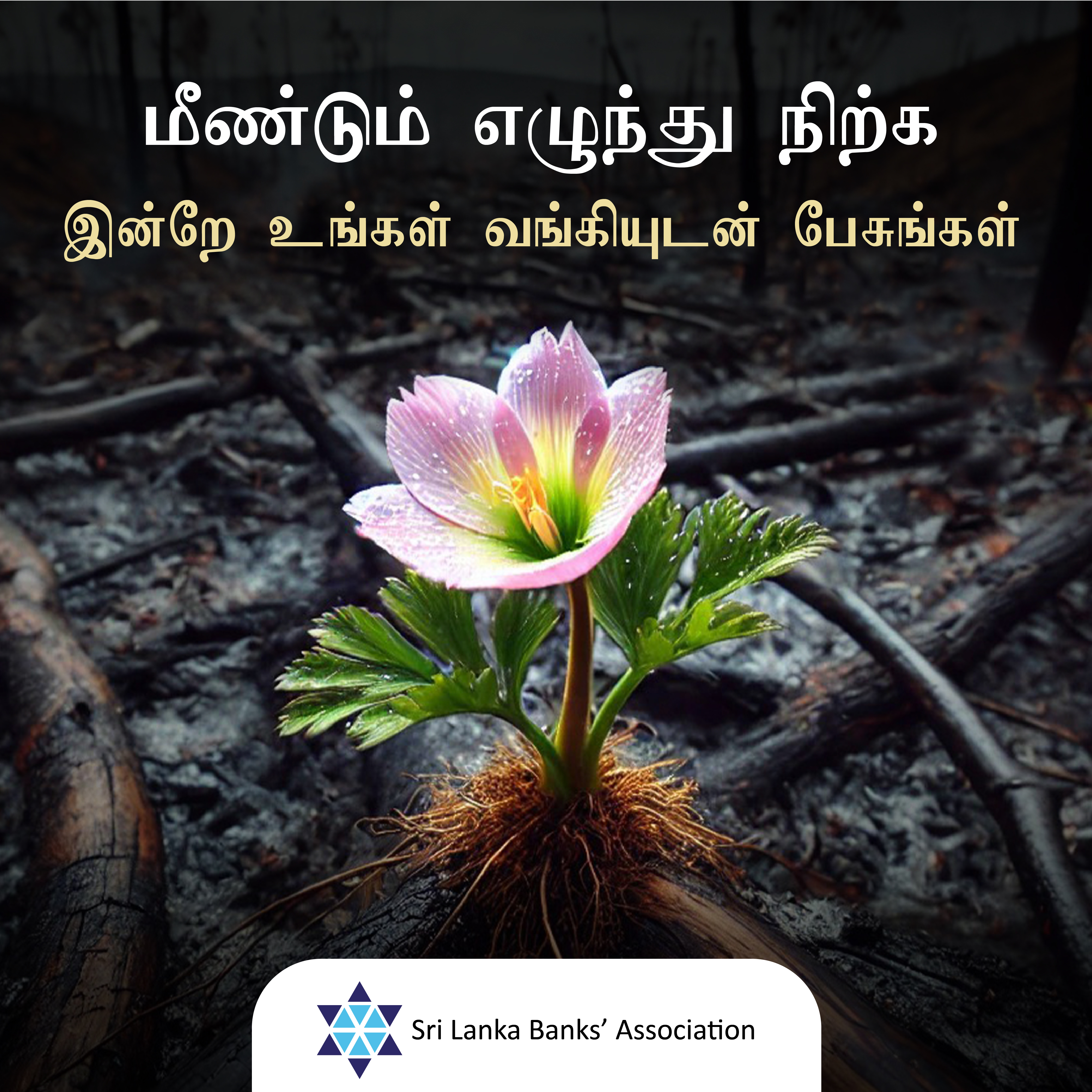 BOC Articles - சிறிய மற்றும் நடுத்தர அளவான தொழில்முனைவோர்களுக்கே இச் செய்தி