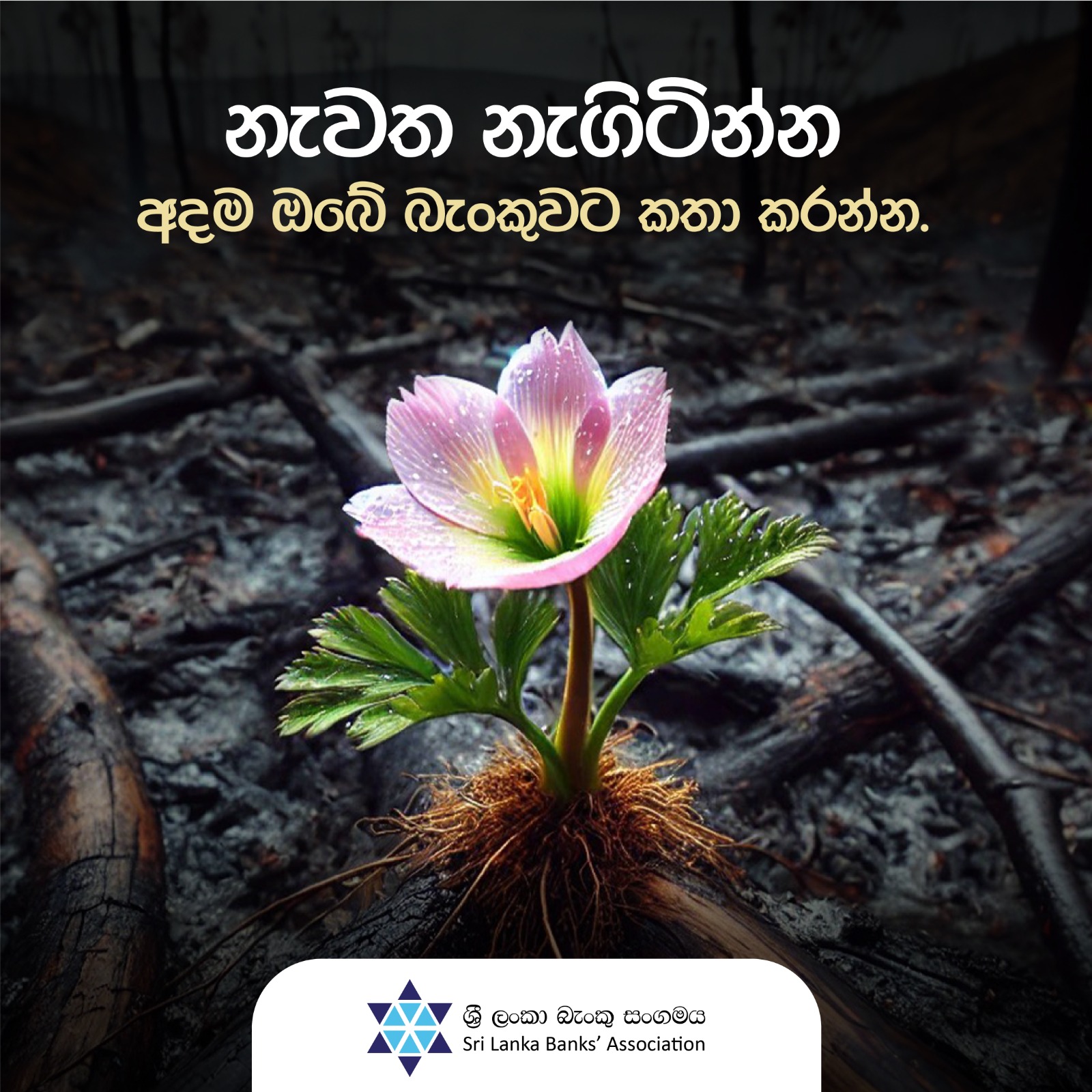 BOC Articles - කුඩා හා මධ්‍ය පරිමාණ ව්‍යාපාරිකයින්ටයි මේ පණිවිඩය