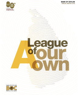 BOC Annual Report 2019