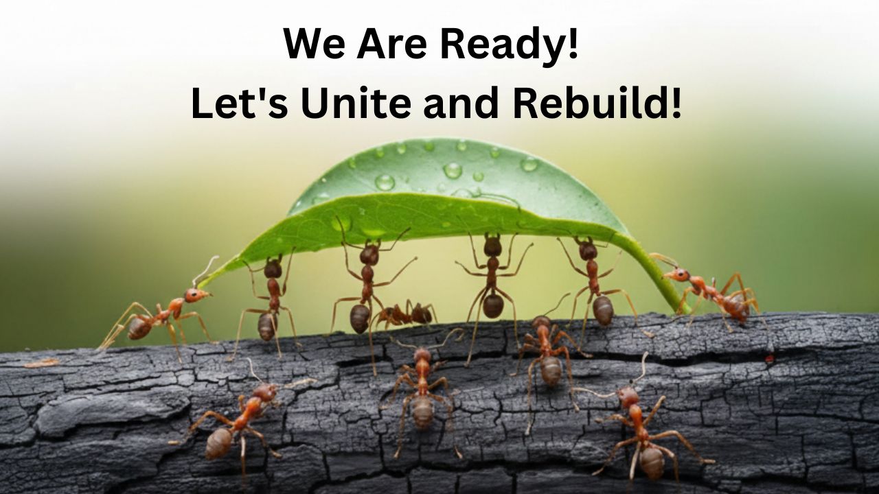 BOC - We Are Ready! Let's Unite and Rebuild!