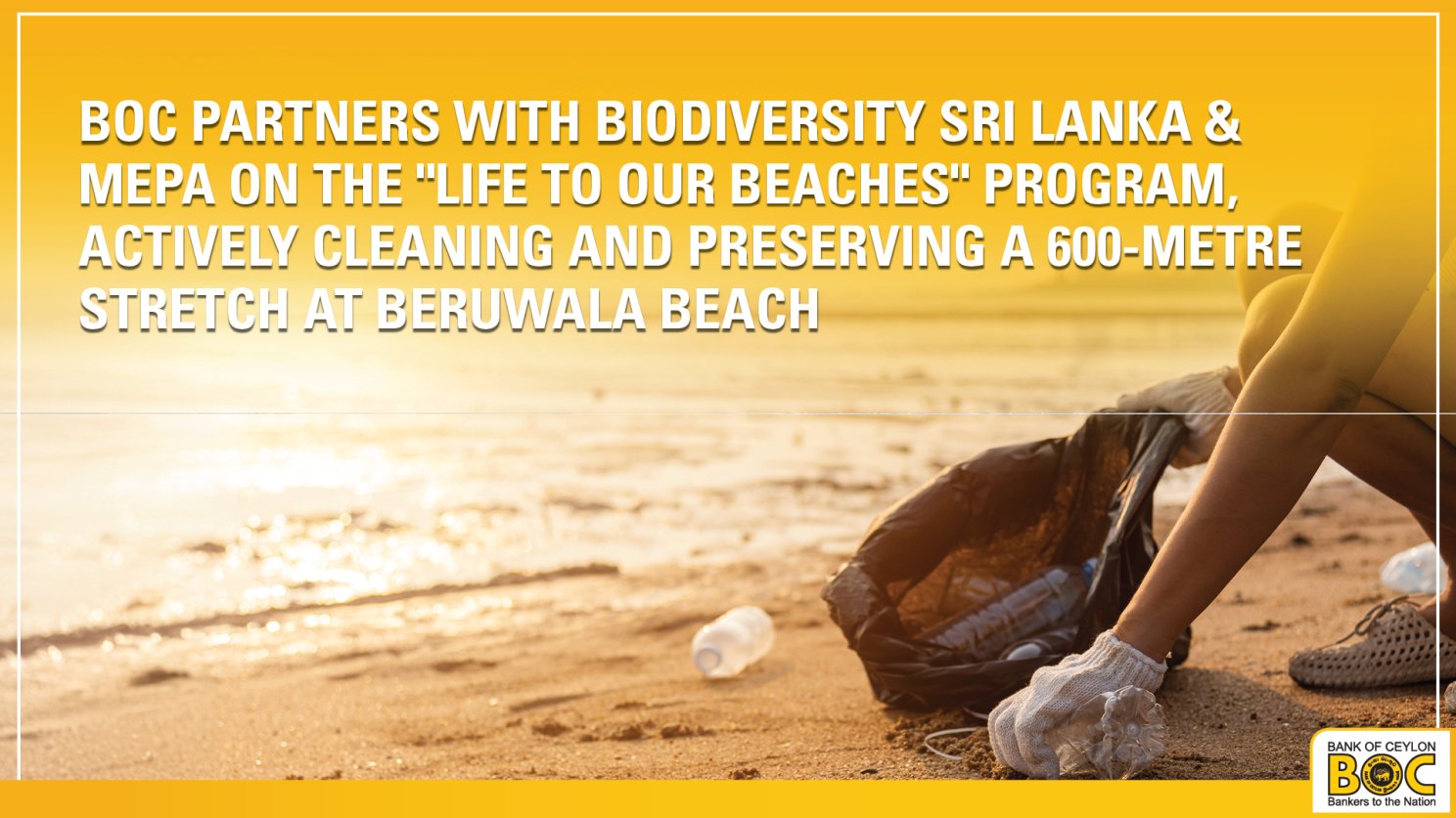 Life on Land (SDG 15)