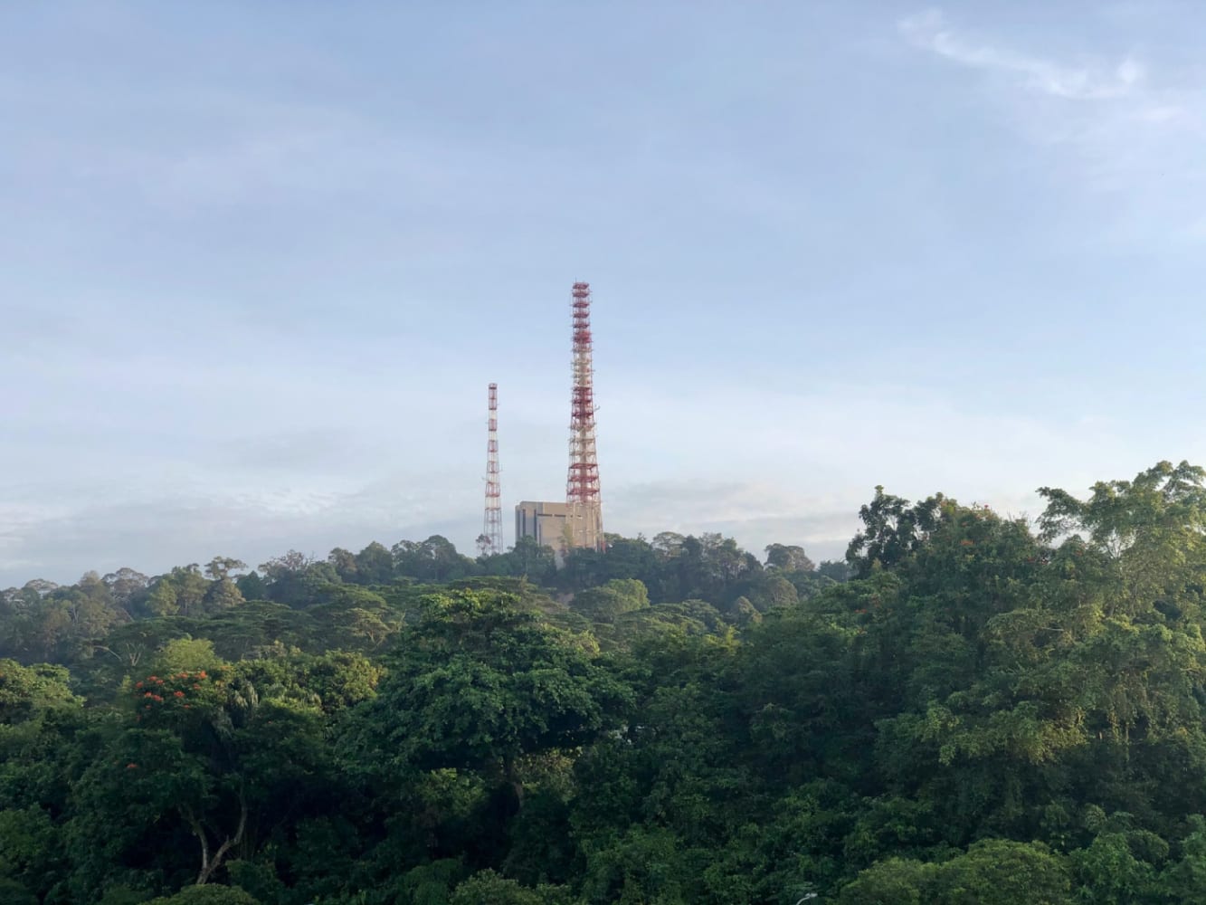 All the fun things to do in Bukit Timah with kids – where to eat, shop and play!