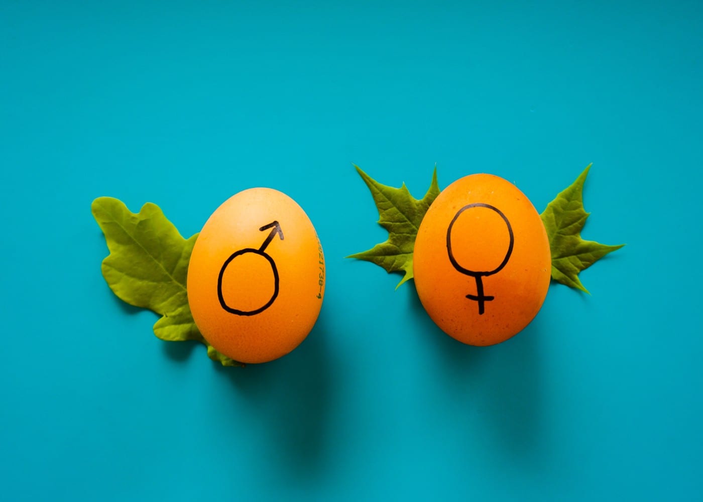 How to talk to kids about gender identity: Age-appropriate scripts for kids, from preschool to teens