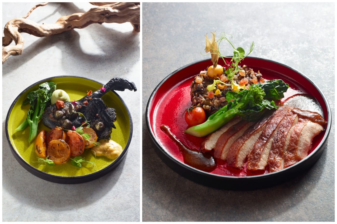 MOONBOW restaurant Black Silkie Poulet & Black Berry 4-Grain Healthy Rice