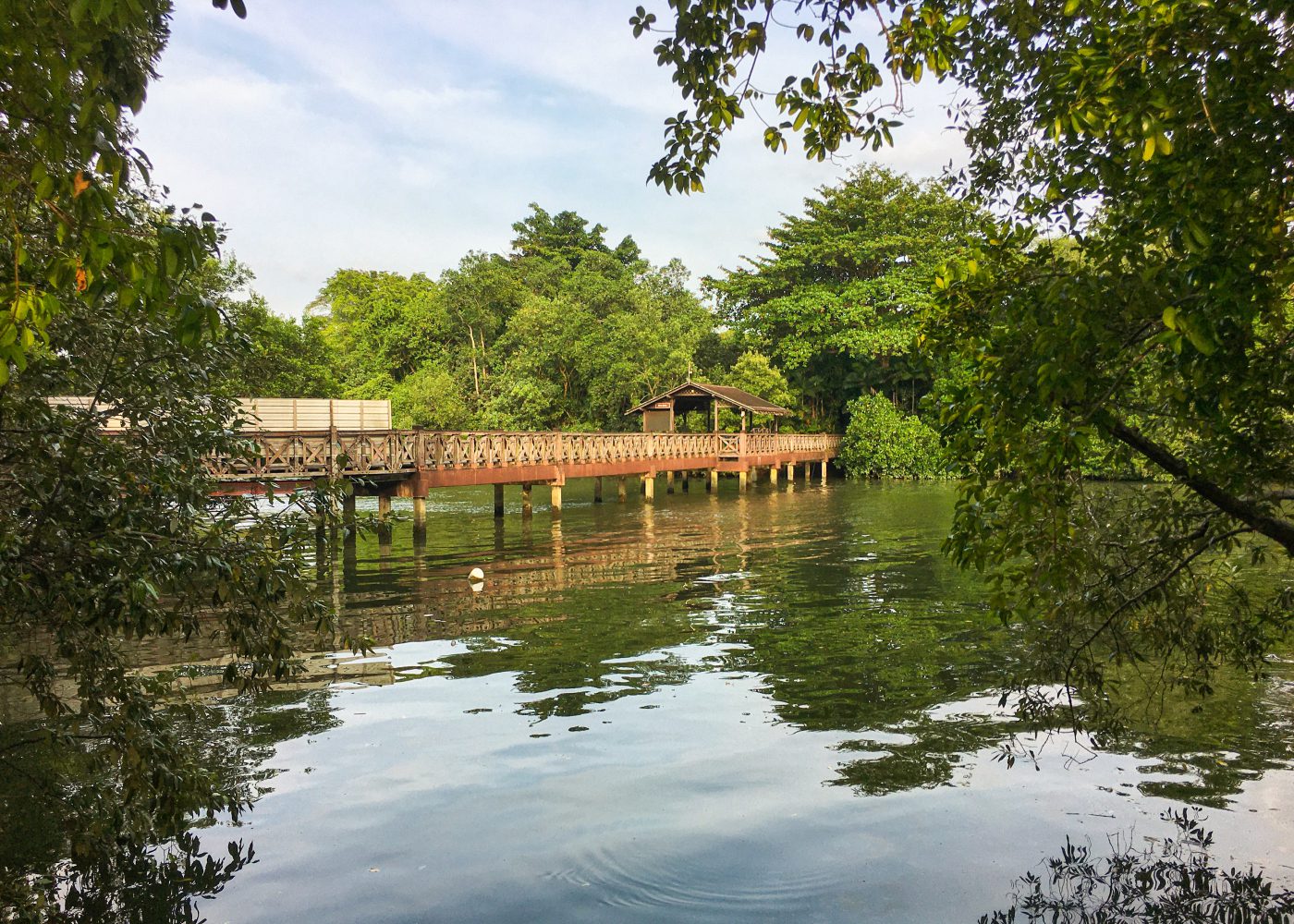 How to feel like a tourist in Singapore – even if you’re local!