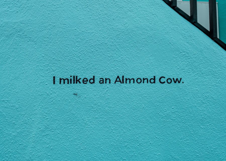 Plant-based milk for families in Singapore