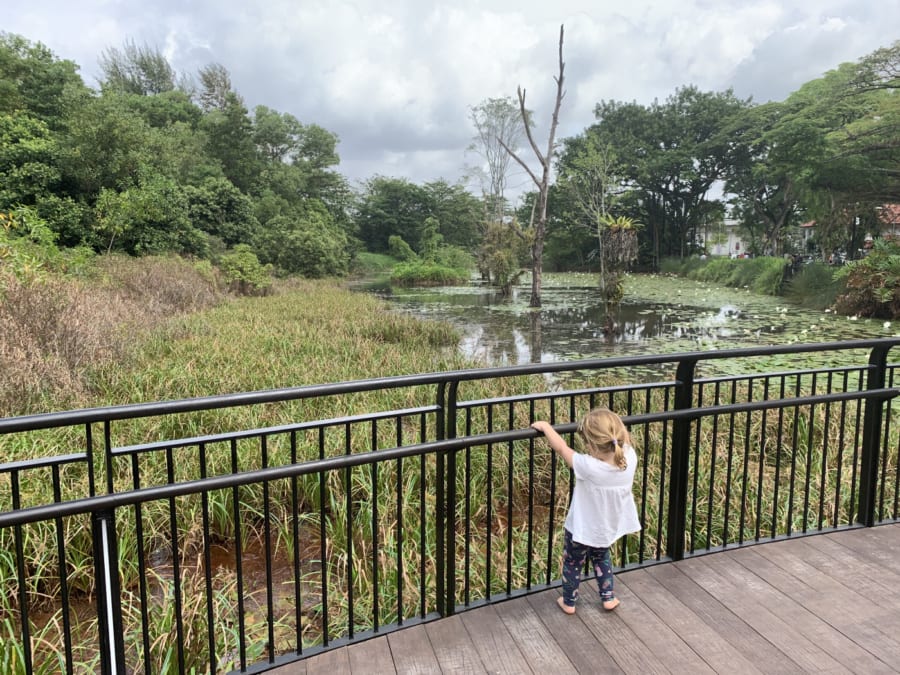 hampstead wetlands park playground | Things to do in Seletar with kids | HoneyKids Asia guide