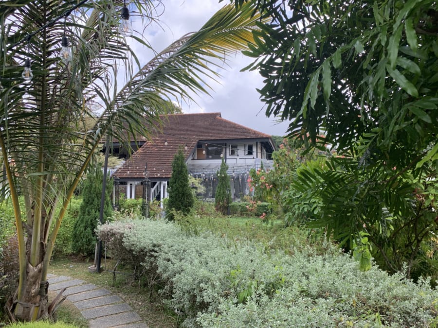 Wildseed at The Summerhouse | Things to do in Seletar with kids | HoneyKids Asia guide