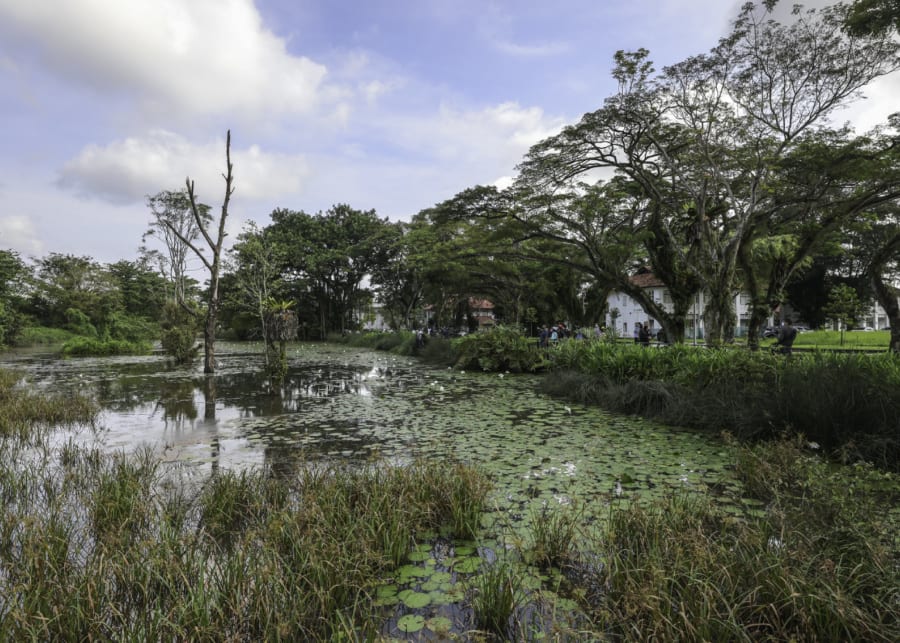 Hampstead Wetlands Park | Hidden gems in Singapore