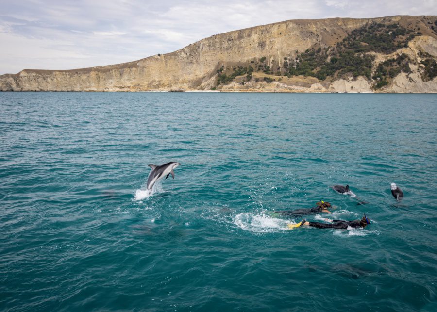 Kaikōura | Top places to visit in New Zealand