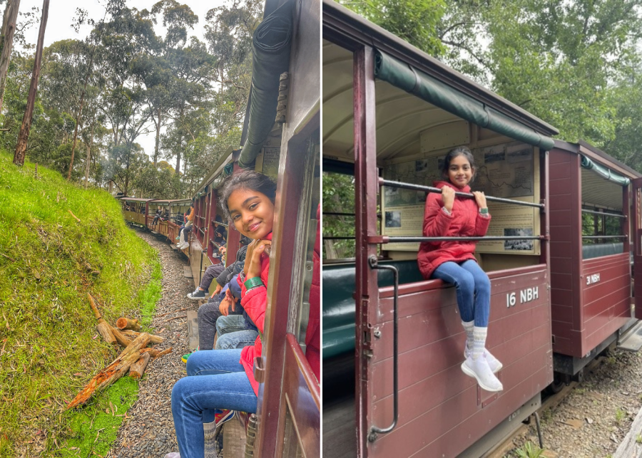Puffing Billy | Family-friendly guide to Melbourne