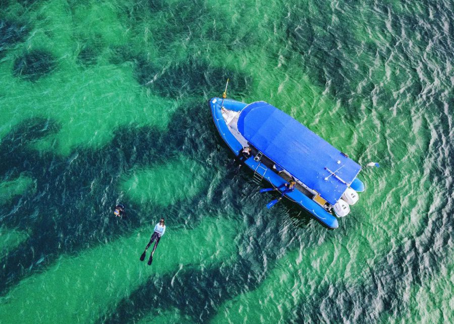 Watermaarq | Family-friendly guide to Melbourne